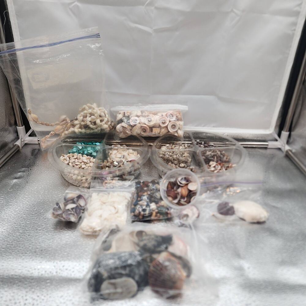 Vintage Lot of Crafting Seashell Beads 3.5lbs